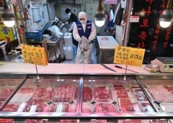 Coronavirus: China prohibirá el comercio y consumo de animales salvajes