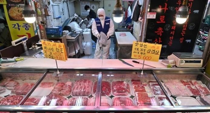 Coronavirus: China prohibirá el comercio y consumo de animales salvajes