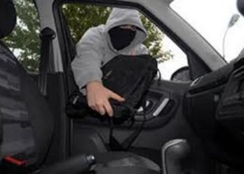 ¿Ladrones se aprovechan de la cuarentena? Farmacéutica salteña vacunaba a domicilio y le robaron