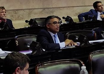 Diputados de la Nación diagrama su vuelta: “El presidente se ha sentido más cómodo gobernando con DNU”