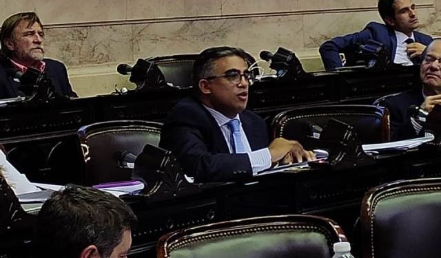 Diputados de la Nación diagrama su vuelta: “El presidente se ha sentido más cómodo gobernando con DNU”