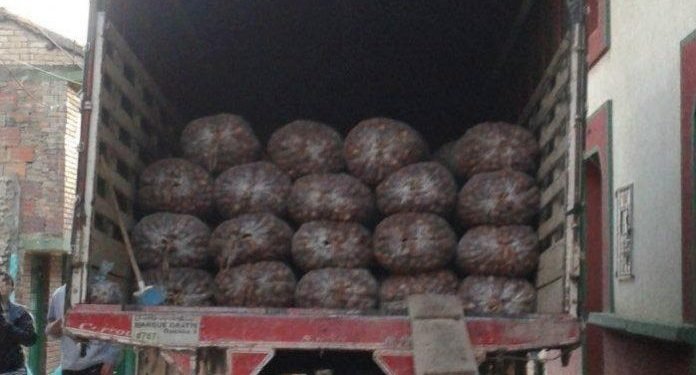 Atraparon a dos salteños que viajaban a Embarcación escondidos en un camión con papas