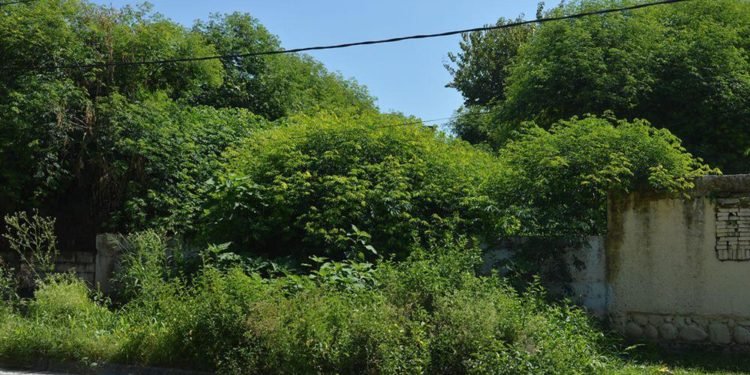 Las multas para propietarios de baldíos podrían acercarse a los $90 mil