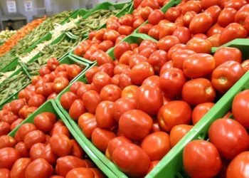 El tomate por las nubes: piden hasta $1600 por un cajón y en la verdulería el kilo está a $200