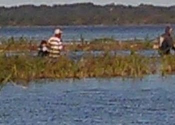 Video. Ni la cuarentena extendida detiene a los depredadores en el dique El Tunal