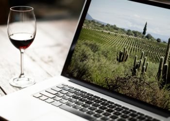 ¿Por qué están cambiando los vinos de Salta?