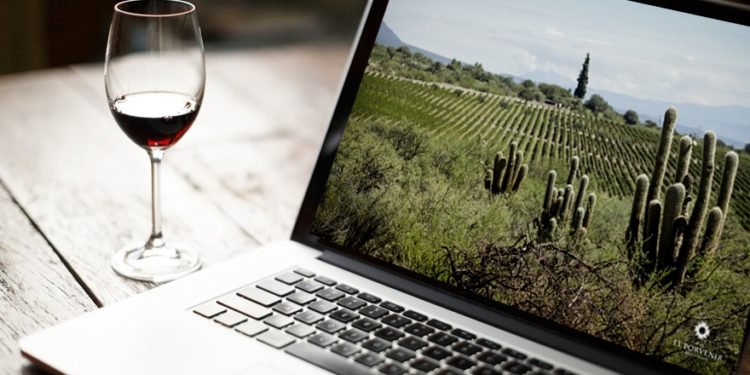 ¿Por qué están cambiando los vinos de Salta?