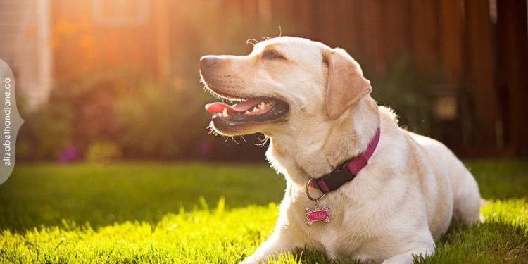 Tiempo en Salta: El otoño se despide con mañanas cálidas