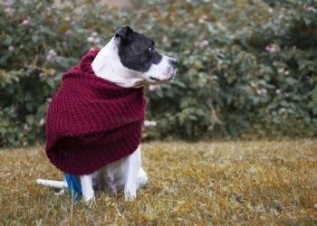 Tiempo en Salta: Se viene un fin de semana congelante