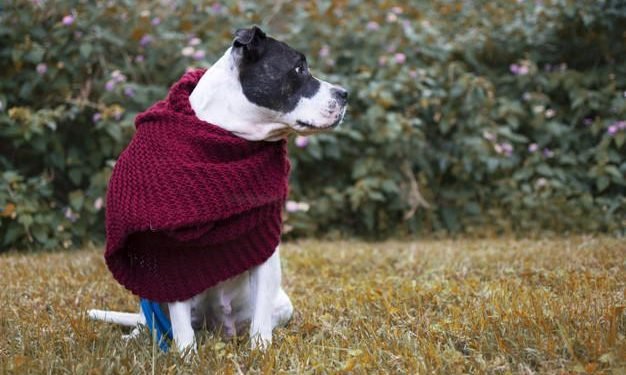 Tiempo en Salta: Se viene un fin de semana congelante