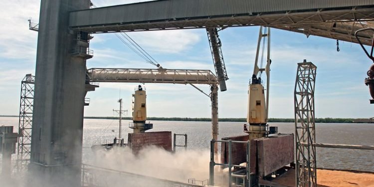 Por la pandemia, la economía argentina depende cada vez más de las exportaciones y divisas que genera el campo