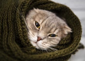 Tiempo en Salta: Te contamos el pronóstico del fin de semana