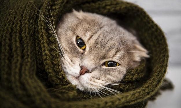 Tiempo en Salta: Te contamos el pronóstico del fin de semana