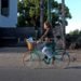Durante la cuarentena la bicicleta se convirtió en el trasporte más elegido por los salteños