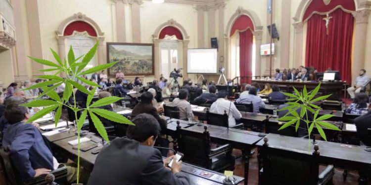 Salta adherirá a la Ley de Cannabis Medicinal