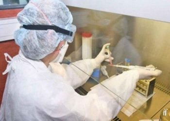 Salta se mantiene por debajo de los 200 casos