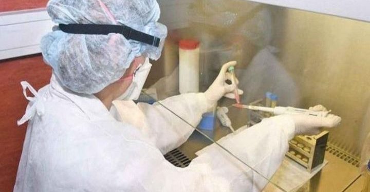 Salta se mantiene por debajo de los 200 casos