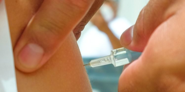 Se confirmaron 12 casos de dengue en la Provincia de Salta