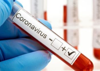 En aumento: Se notificaron 335 nuevos casos de coronavirus en Salta