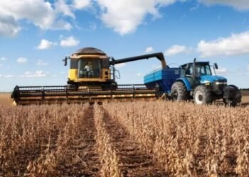 Sociedad Rural Salteña: “El campo no es formador de precios”