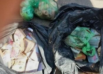 Sociedad Rural Salteña: “El campo no es formador de precios”