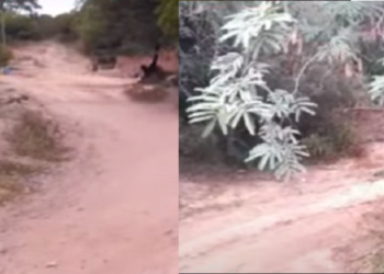 Intento de femicidio en Salta: tiene 18 y quiso matar a su novia de 14 años