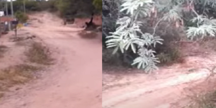 Intento de femicidio en Salta: tiene 18 y quiso matar a su novia de 14 años