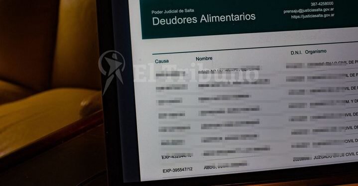 Creció el 28,5% el registro de padres deudores alimentarios en Salta