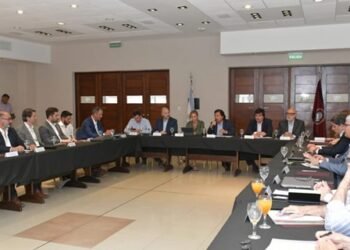 “El 40% de la demanda eléctrica de Salta se abasteció con fuentes renovables”