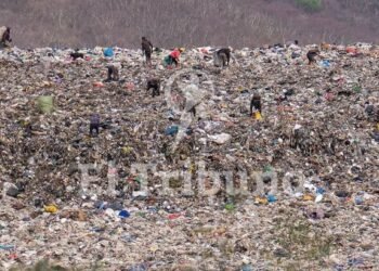 Los recicladores urbanos ya tienen representación sindical en Salta