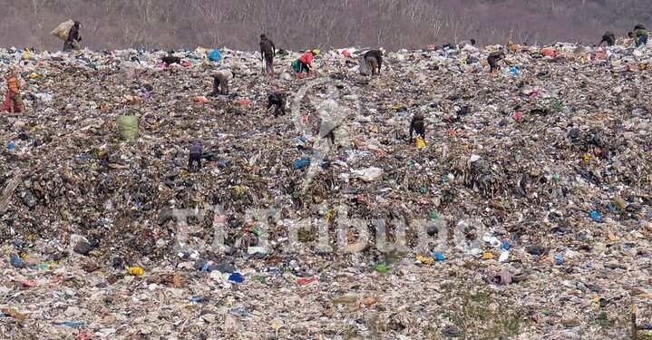 Los recicladores urbanos ya tienen representación sindical en Salta