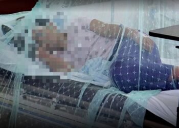 El dengue estalló en Salta: ya son más de 2100 casos y darán una conferencia