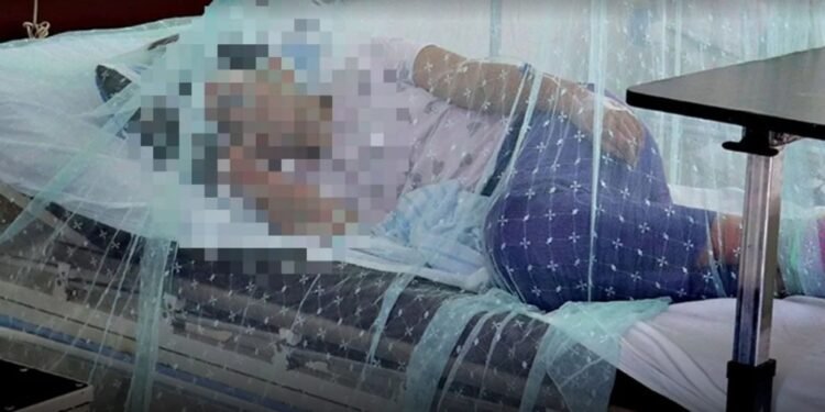 El dengue estalló en Salta: ya son más de 2100 casos y darán una conferencia