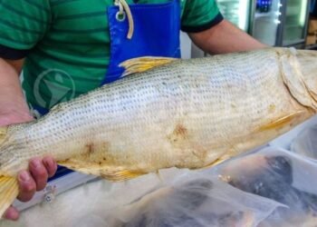 Semana Santa: guía con precios de los productos más demandados