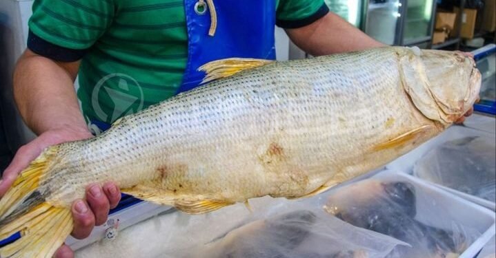 Semana Santa: guía con precios de los productos más demandados