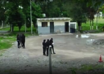 Se conoció el nombre del gaucho que apareció muerto en zona norte