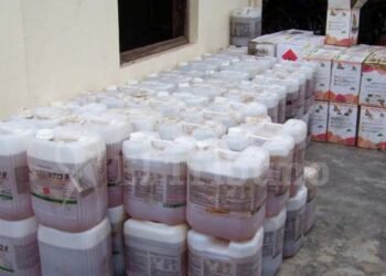 Productores denuncian que detrás de los robos en el norte hay una fuerte logística