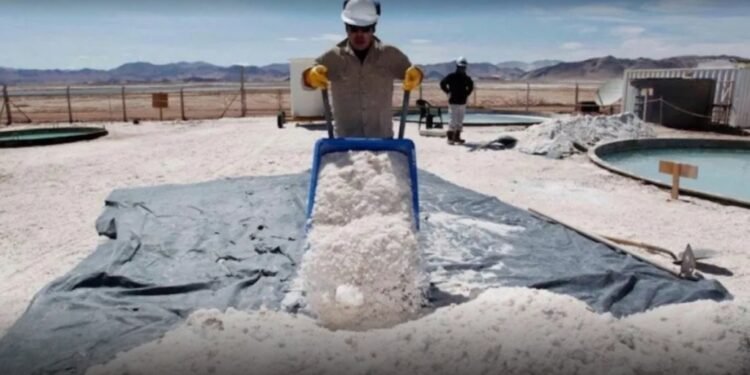 Alcohol cero al volante: El Gobierno promulgó la ley para rutas nacionales
