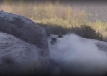 Así fue el terrible accidente que sufrió Olmedo: no frenó en la curva