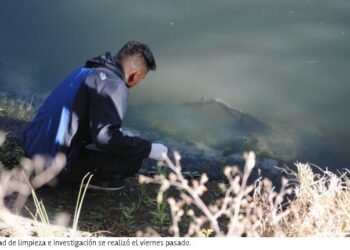 A lo Lizy Tagliani: Patricia Bullrich dijo un montón de palabras para no decir nada