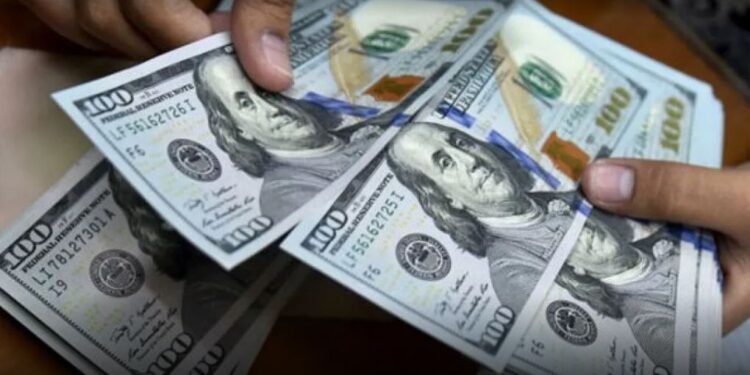 La dolarización llegó a las coimas: la denuncia de una abogada de Salta