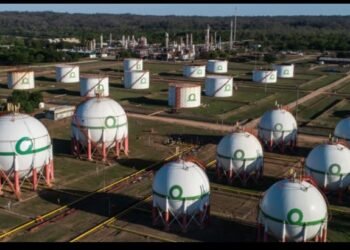 Reventaron un local de parabrisas en Salta y se robaron un camión de helados