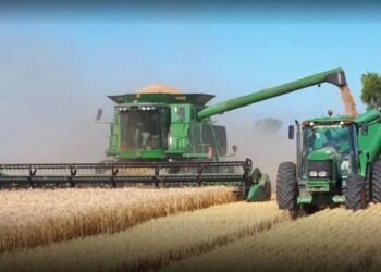 Urgente: 3 casos de Hantavirus y se encendieron las alarmas en todo Salta