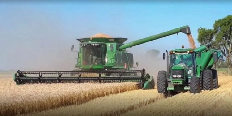 Urgente: 3 casos de Hantavirus y se encendieron las alarmas en todo Salta