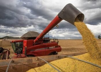 Sáenz, Emiliano y Milei: a qué hora asumen y dónde será la ceremonia de cada uno